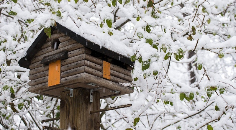 11 уютных идей декора для вашего сада зимой