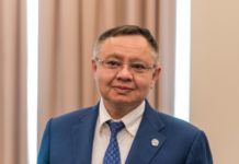 Файзуллин поручил проработать вопрос деревянного домостроения в РФ